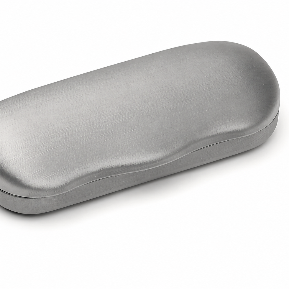 Brillenetui A107 Metall-Hartschalenetui
